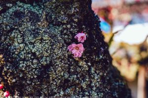 なんちゃってマクロ