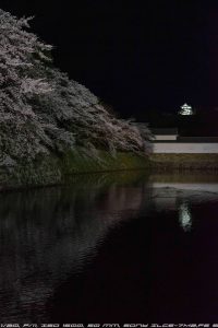 夜桜も手持ちでいける