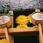 これ一番キレイ