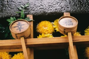 これ一番キレイ